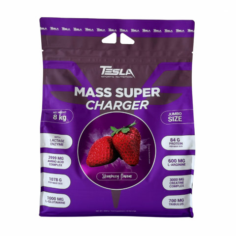 TESLA MASS SUPER CHARGER 8 kg TESLA MASS SUPER CHARGER 8 kg